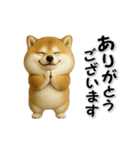 ちょっぴり笑える柴犬（個別スタンプ：9）
