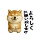 ちょっぴり笑える柴犬（個別スタンプ：10）