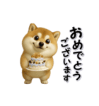 ちょっぴり笑える柴犬（個別スタンプ：11）