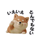 ちょっぴり笑える柴犬（個別スタンプ：13）
