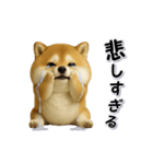 ちょっぴり笑える柴犬（個別スタンプ：20）