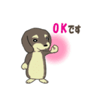 ドッグズセンス3（個別スタンプ：5）