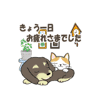 ドッグズセンス3（個別スタンプ：8）