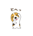 ドッグズセンス3（個別スタンプ：9）