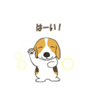 ドッグズセンス3（個別スタンプ：10）