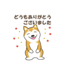 ドッグズセンス3（個別スタンプ：13）