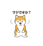 ドッグズセンス3（個別スタンプ：15）