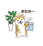 ドッグズセンス3（個別スタンプ：16）