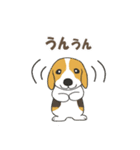 ドッグズセンス3（個別スタンプ：18）