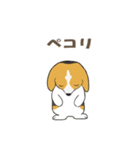 ドッグズセンス3（個別スタンプ：19）