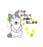 ドッグズセンス3（個別スタンプ：24）