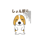 ドッグズセンス3（個別スタンプ：33）