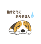 ドッグズセンス3（個別スタンプ：35）