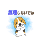 ドッグズセンス3（個別スタンプ：36）