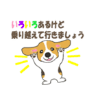 ドッグズセンス3（個別スタンプ：37）