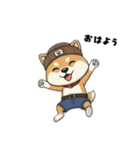 シバニーズのニットン（個別スタンプ：3）