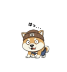 シバニーズのニットン（個別スタンプ：11）