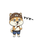 シバニーズのニットン（個別スタンプ：12）