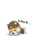 シバニーズのニットン（個別スタンプ：15）