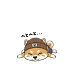 シバニーズのニットン（個別スタンプ：31）