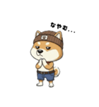 シバニーズのニットン（個別スタンプ：37）