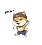 シバニーズのニットン（個別スタンプ：38）