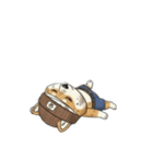 シバニーズのニットン（個別スタンプ：39）