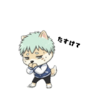 シバニーズのタジャン（個別スタンプ：28）