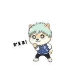 シバニーズのタジャン（個別スタンプ：31）