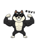 シバニーズのカワジ（個別スタンプ：1）