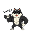 シバニーズのカワジ（個別スタンプ：5）