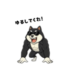 シバニーズのカワジ（個別スタンプ：13）