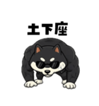 シバニーズのカワジ（個別スタンプ：14）