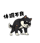 シバニーズのカワジ（個別スタンプ：31）