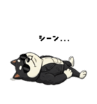 シバニーズのカワジ（個別スタンプ：34）