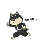 シバニーズのタンラ（個別スタンプ：11）