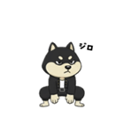 シバニーズのタンラ（個別スタンプ：15）