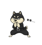 シバニーズのタンラ（個別スタンプ：19）