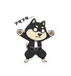 シバニーズのタンラ（個別スタンプ：22）