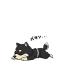 シバニーズのタンラ（個別スタンプ：34）