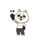 シバニーズのゴムテ（個別スタンプ：1）