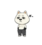 シバニーズのゴムテ（個別スタンプ：2）