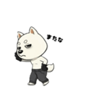 シバニーズのゴムテ（個別スタンプ：3）