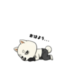 シバニーズのゴムテ（個別スタンプ：15）