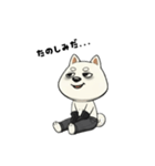 シバニーズのゴムテ（個別スタンプ：17）