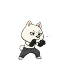 シバニーズのゴムテ（個別スタンプ：19）