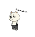 シバニーズのゴムテ（個別スタンプ：23）