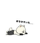 シバニーズのゴムテ（個別スタンプ：24）