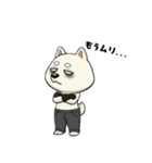 シバニーズのゴムテ（個別スタンプ：25）