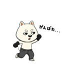 シバニーズのゴムテ（個別スタンプ：28）